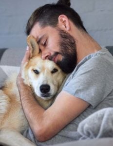 Pet a dog to calm him down