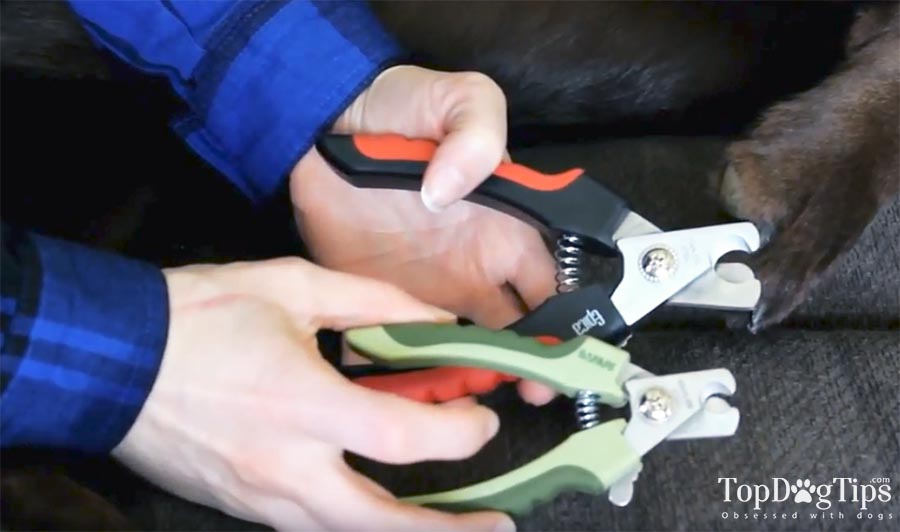 Scissor Nail Clippers for Dogs