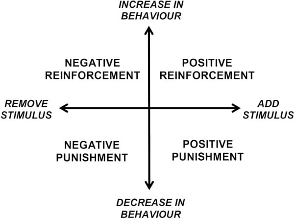 Reinforcement and punishment in dogs diagram