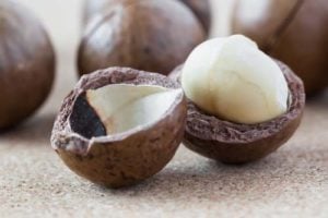 Side effects of macadamia nuts for dogs