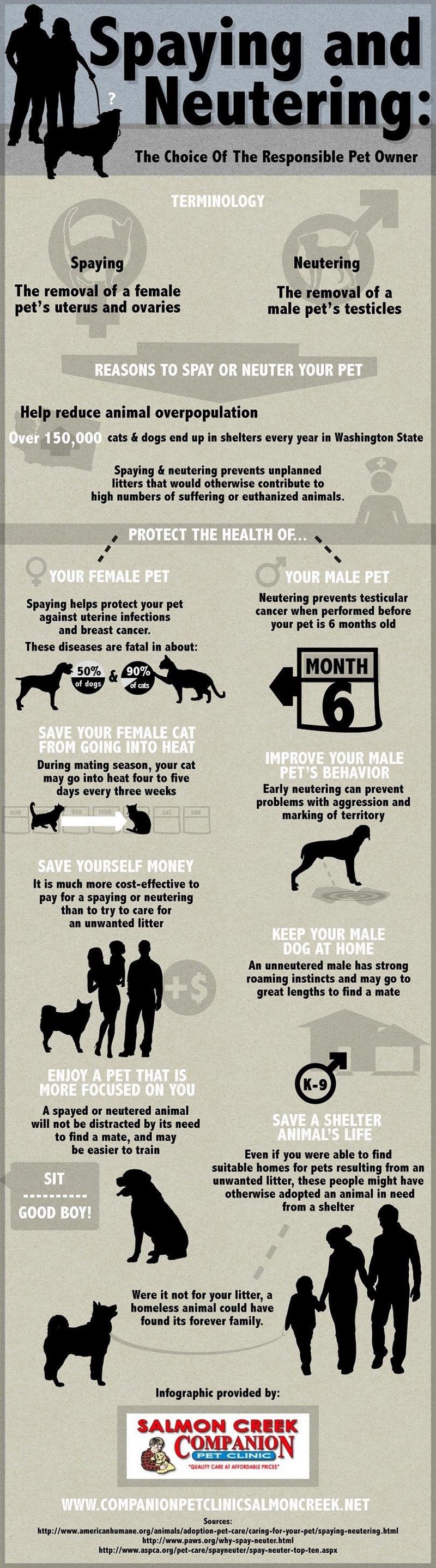 Spay or Neuter Dog Graphic