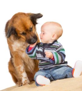 Study on benefits of dogs for kids health