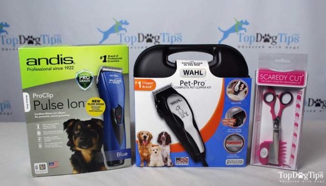 Testing the Best Silent Dog Clippers