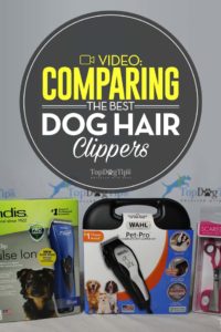 The Best Dog Clippers Comparison