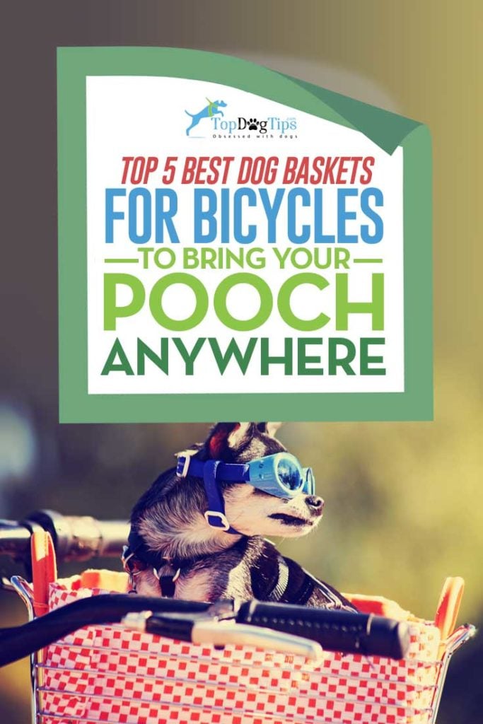 Top Rated Best Dog Baskets for Bikes