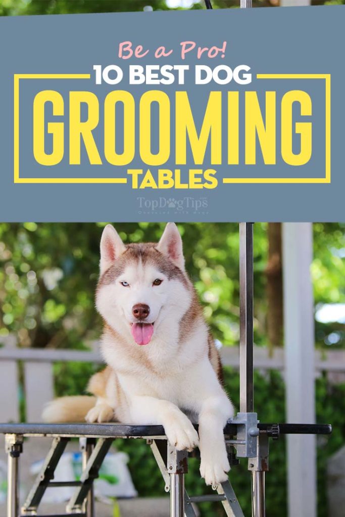 Top Rated Best Dog Grooming Tables