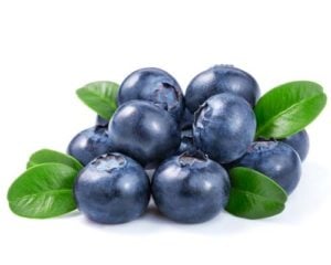 Blueberries for dogs