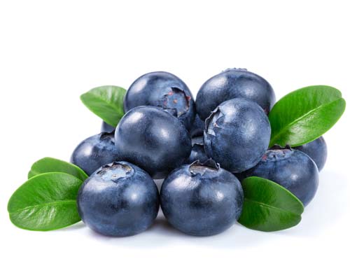 What do blueberries look like