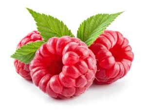 Raspberries for dogs