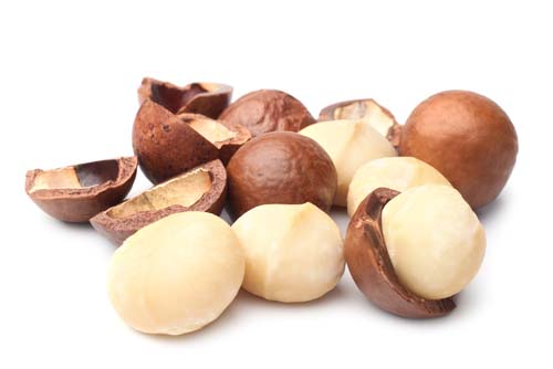 What macadamia nuts look like