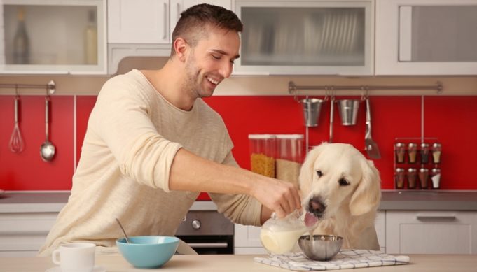 best dog food toppings