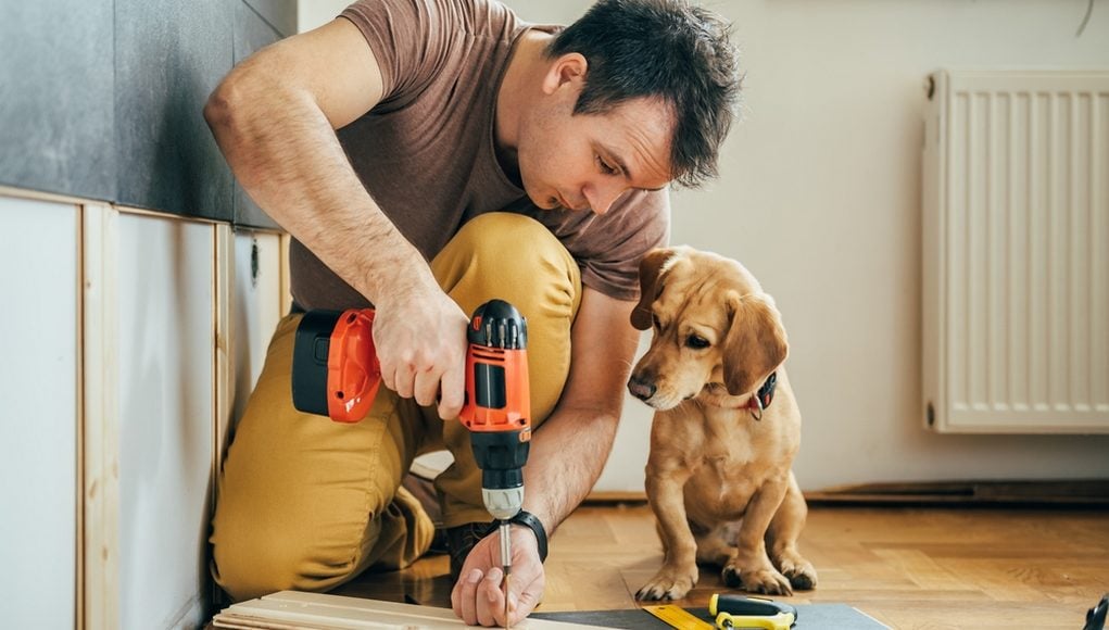 5 Home Improvement Projects for Dog Owners