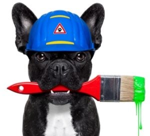 5 Home Improvement Projects for Dog Owners