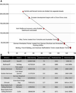 Evolution of the dog chart