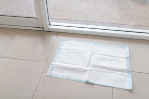 Finding the best dog pee pads for toilet training