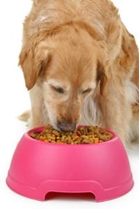 What makes the best dog food for Golden Retrievers?