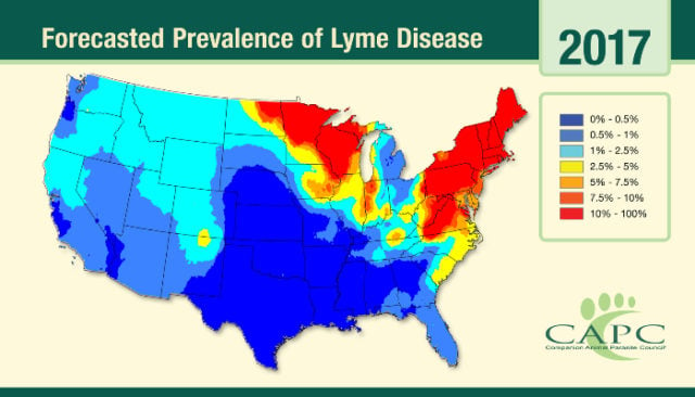 New Lyme Disease Map Outlines Rising Prevalence of Ticks