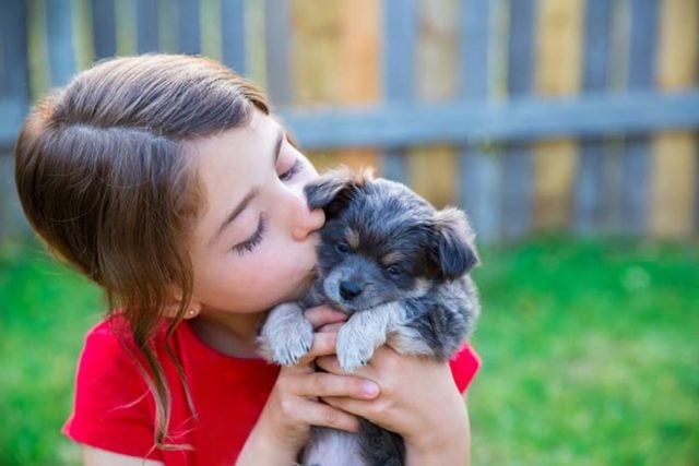 Study Shows Kids With Dogs Are Less Stressed