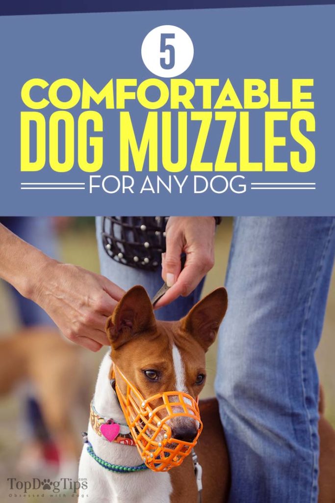 The Best Dog Muzzles for Any Dog