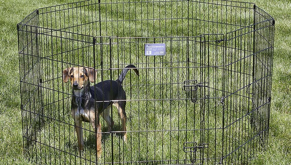 The Best Outdoor Dog Pens 2020