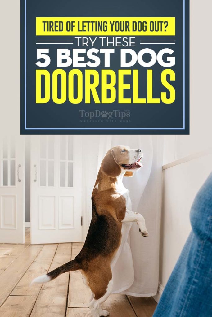 Top Rated Dog Doorbells for Housetraining in 2020