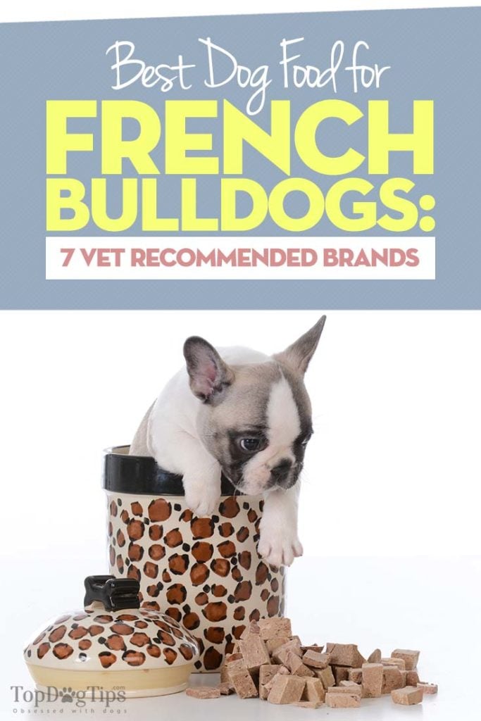 Vet Recommended Best Dog Foods for French Bulldogs