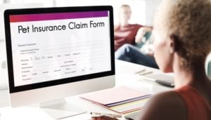 Filing Pet Insurance Claims