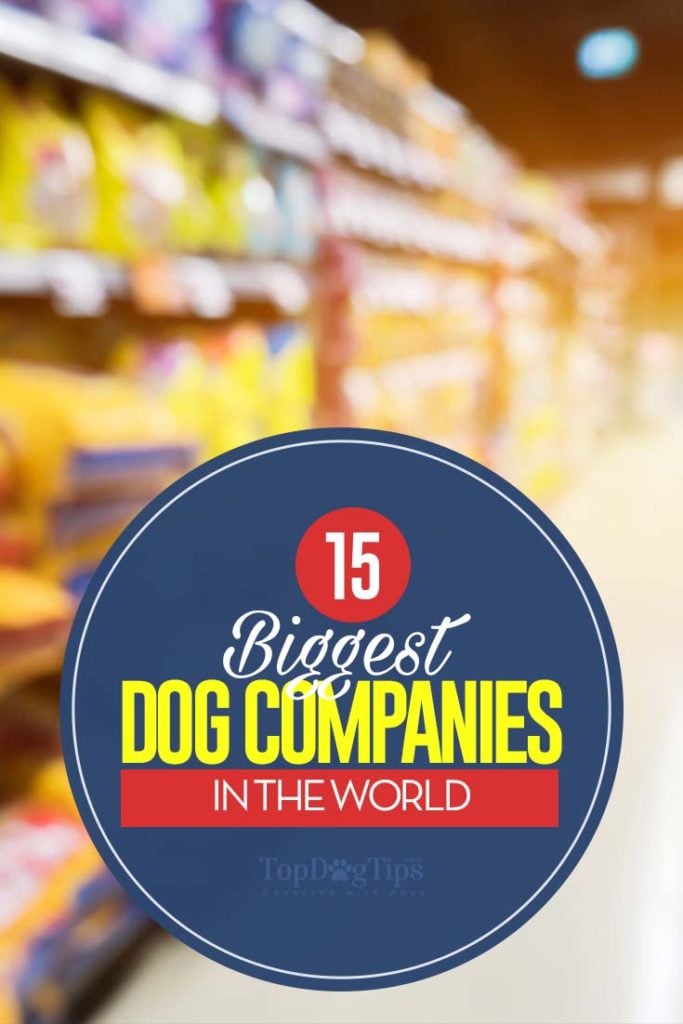 15 Famous Dog Companies in the World