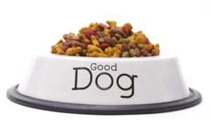 Commercial Dog Food Brands