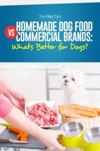 Homemade Dog Food vs Commercial Brands - What Is Better for Dogs