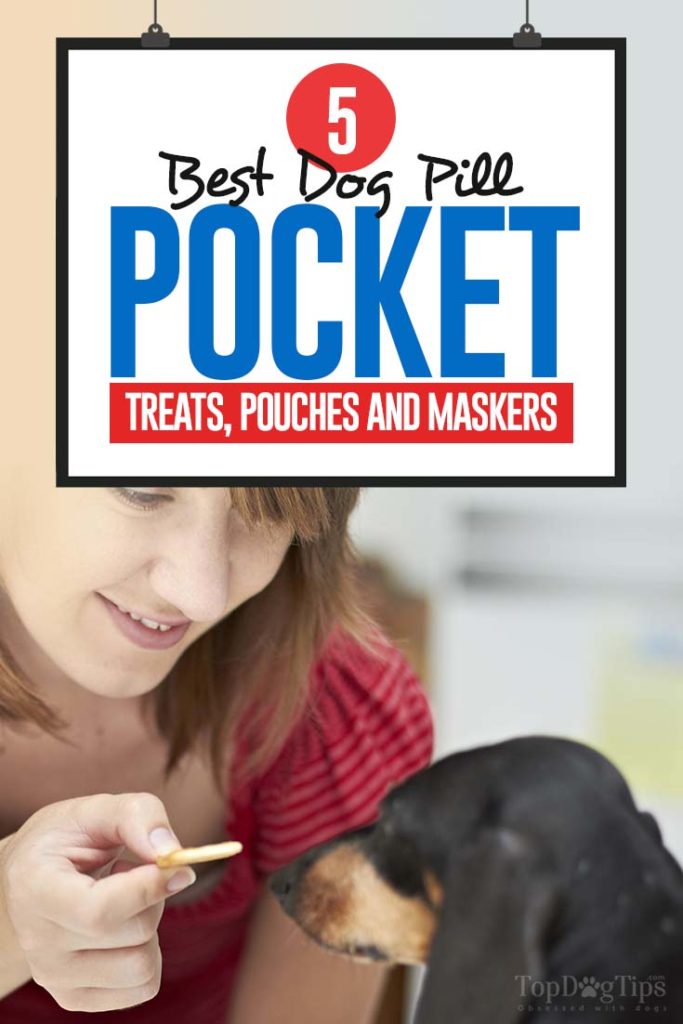 Our Favorite Dog Pill Pocket Treats for Dog Meds