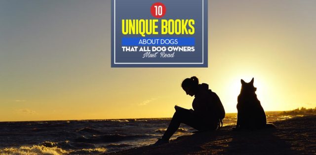 Top 10 Unique Books About Dogs That All Dog Owners Must Read