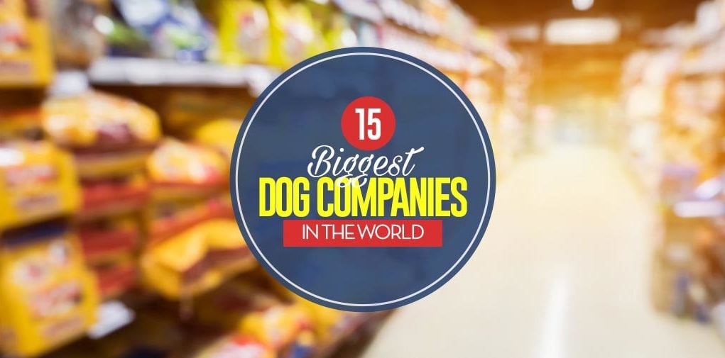 Top 15 Biggest Dog Companies in the World and Their Most Popular Brands