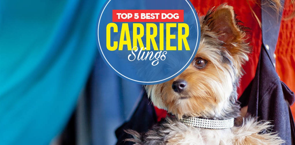 Top 5 Best Dog Carrier Slings