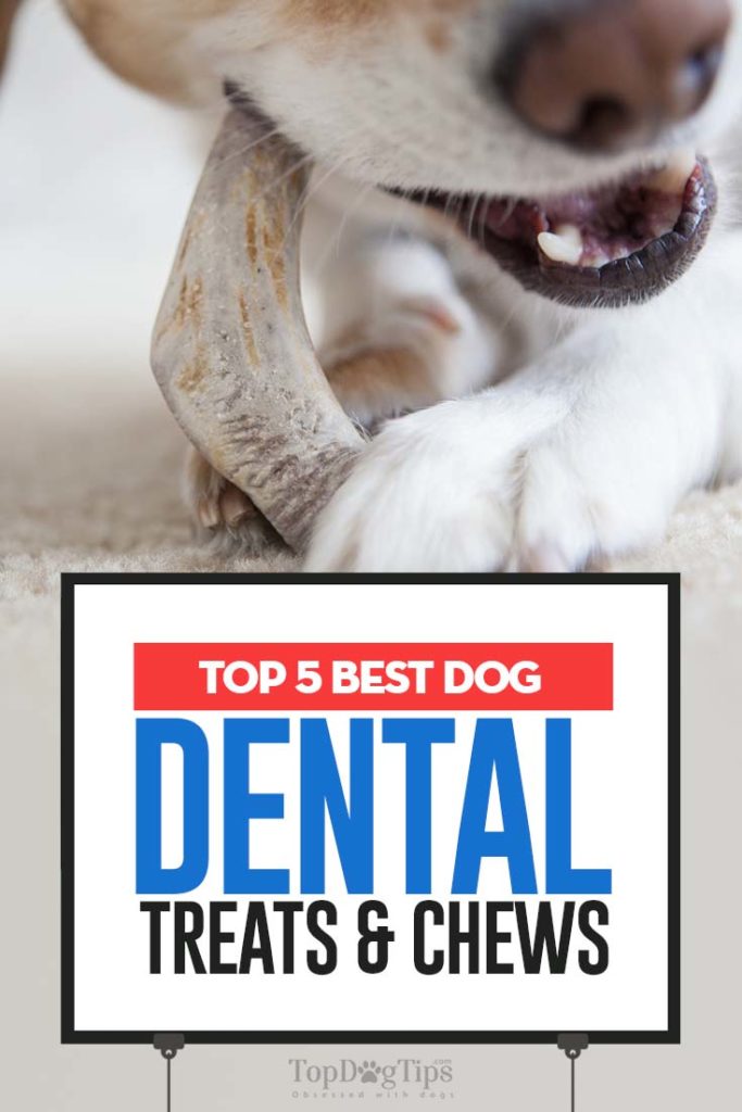 Top 5 Rated Best Dog Dental Treats & Chews