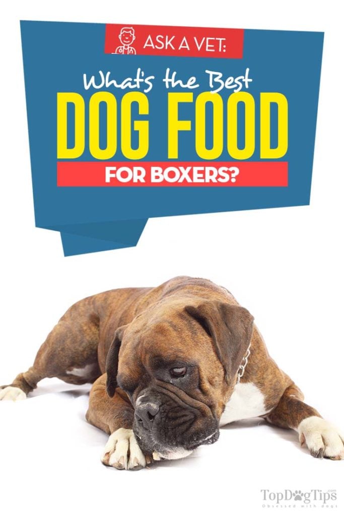 Top Rated Best Dog Food for Boxers