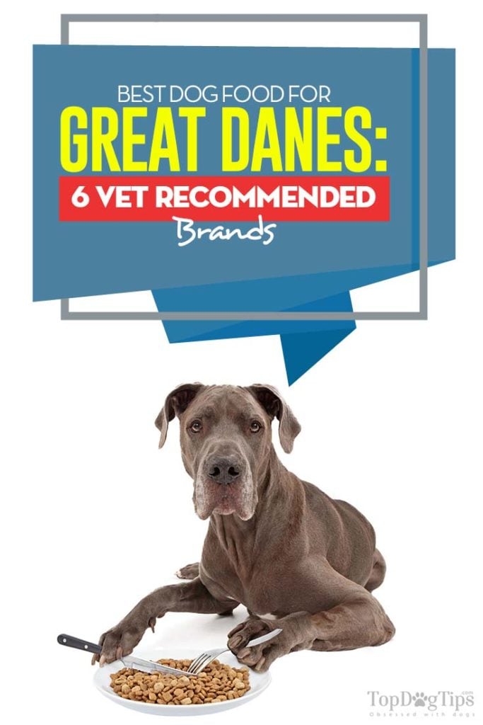 Top Rated Best Dog Food for Great Danes