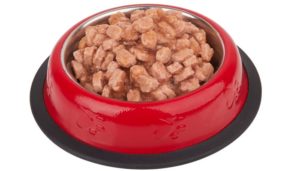 What Dog Food Is Good for Dogs