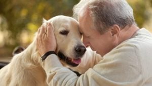 Science on therapy dogs for depression