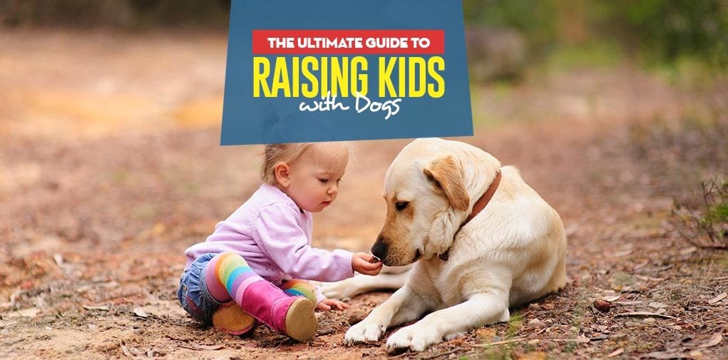 A Guide for Raising Kids with Dogs