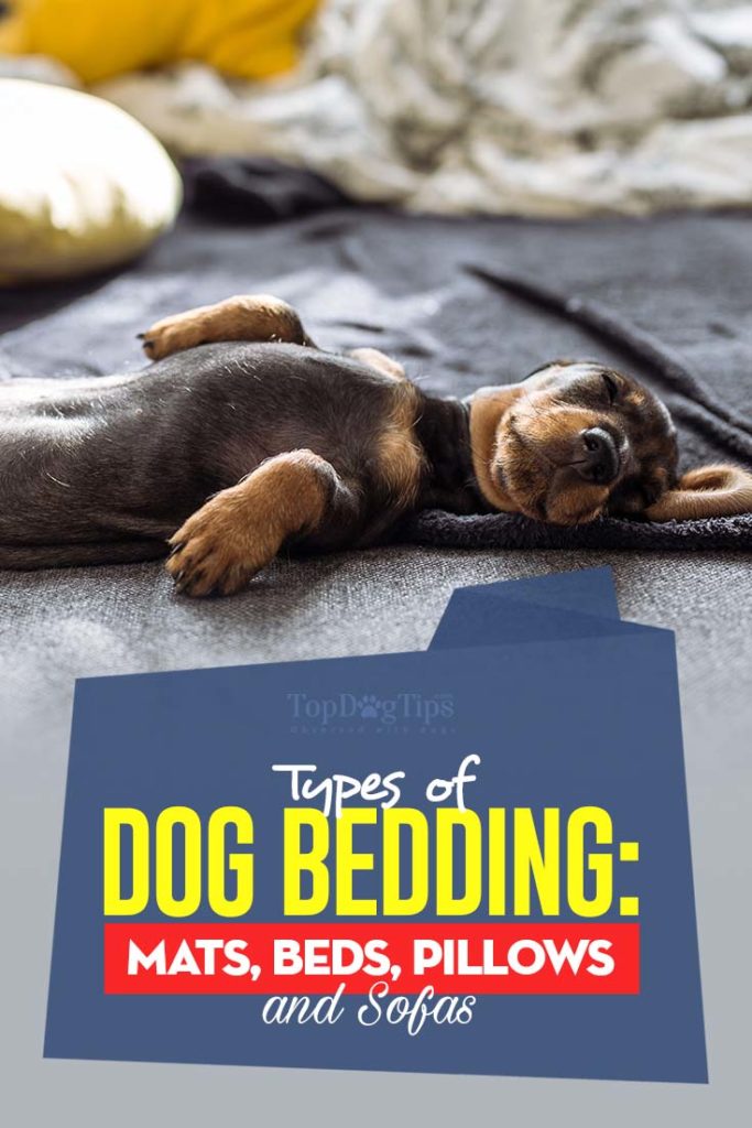 All Types of Dog Bedding - Mats Beds Pillows and Sofas