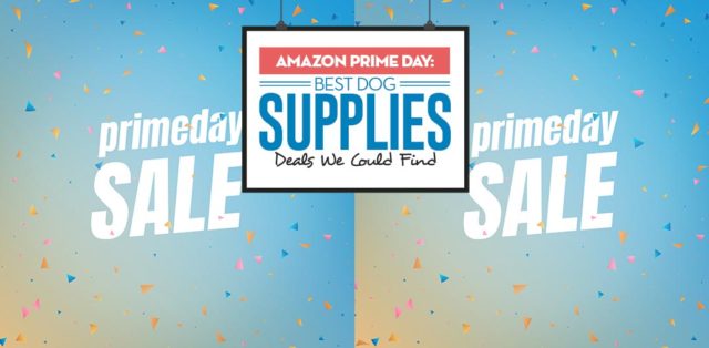 Amazon Prime Day - Top Best Dog Supplies Deals