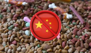 Dog Food Made in China