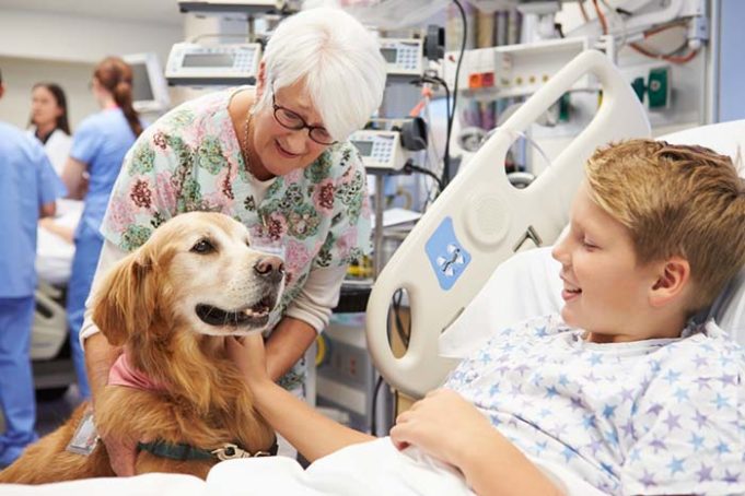 Dogs Now Help Treat Cancer in Kids