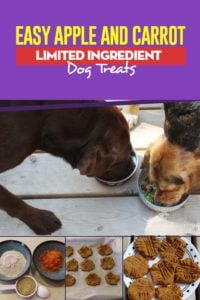 My Favorite Apple and Carrot Limited Ingredient Dog Treats Recipe