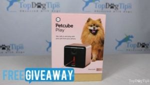 Petcube Play Giveaway