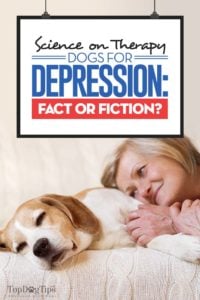 Science on Therapy Dogs for Depression - Fact or Fiction