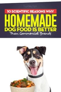 The 10 Scientific Reasons Homemade Dog Food is Better Than Commercial Foods