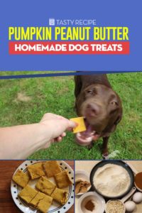 The Best Pumpkin Peanut Butter Homemade Dog Treats Recipe