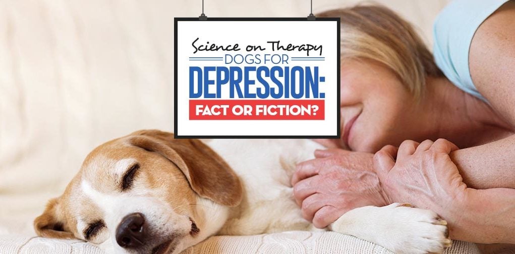 The Science Guide on Therapy Dogs for Depression